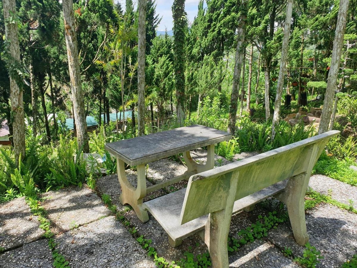 Villa Dieu Thong - Secrect Garden, View San May Va Nui Dalat Dış mekan fotoğraf
