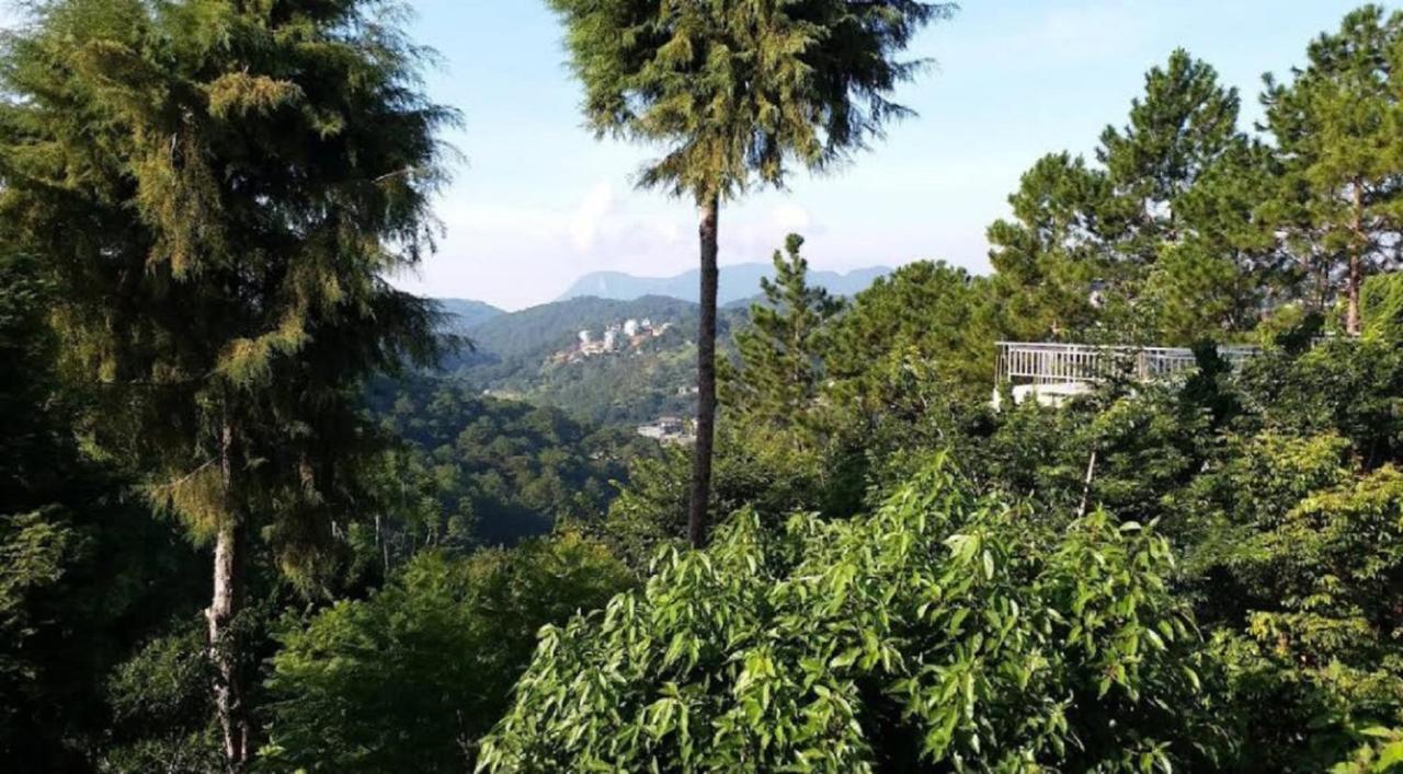 Villa Dieu Thong - Secrect Garden, View San May Va Nui Dalat Dış mekan fotoğraf