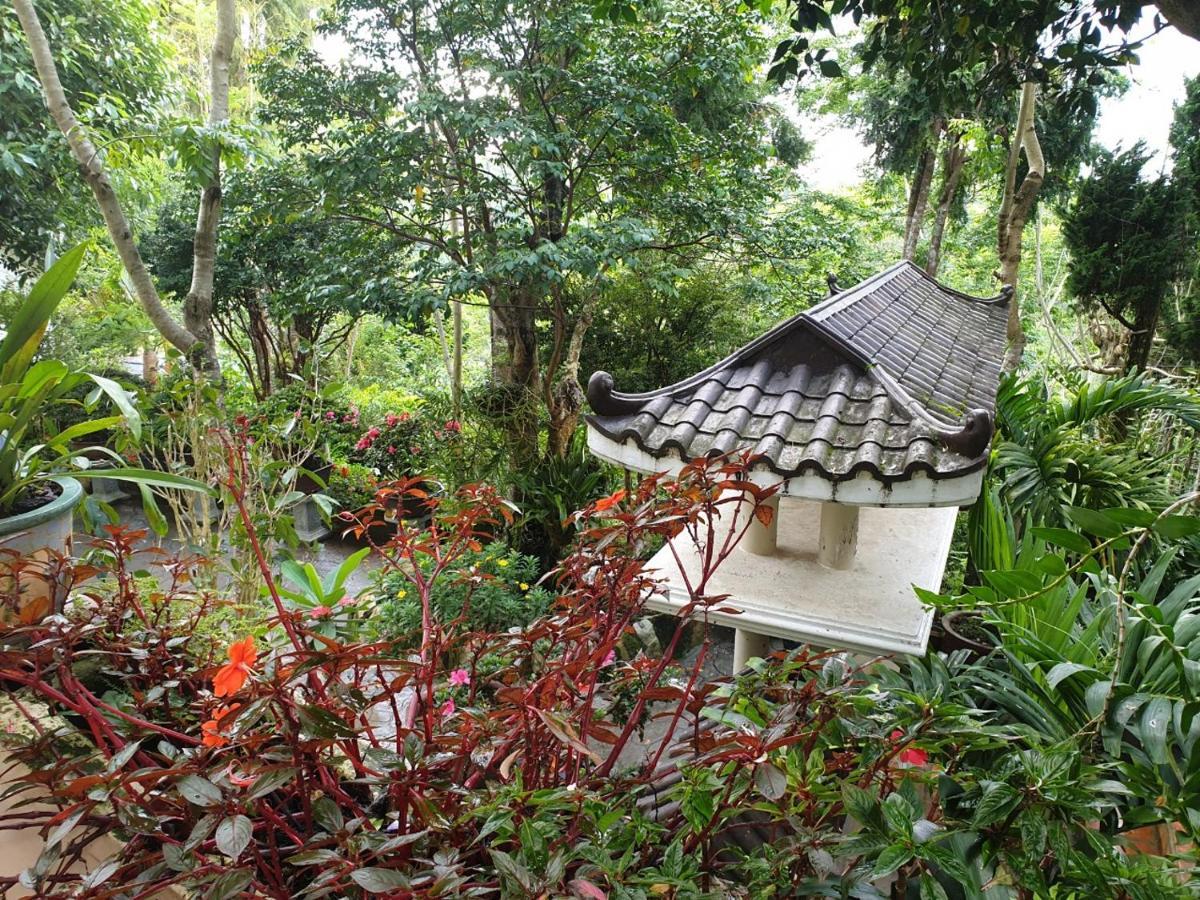 Villa Dieu Thong - Secrect Garden, View San May Va Nui Dalat Dış mekan fotoğraf