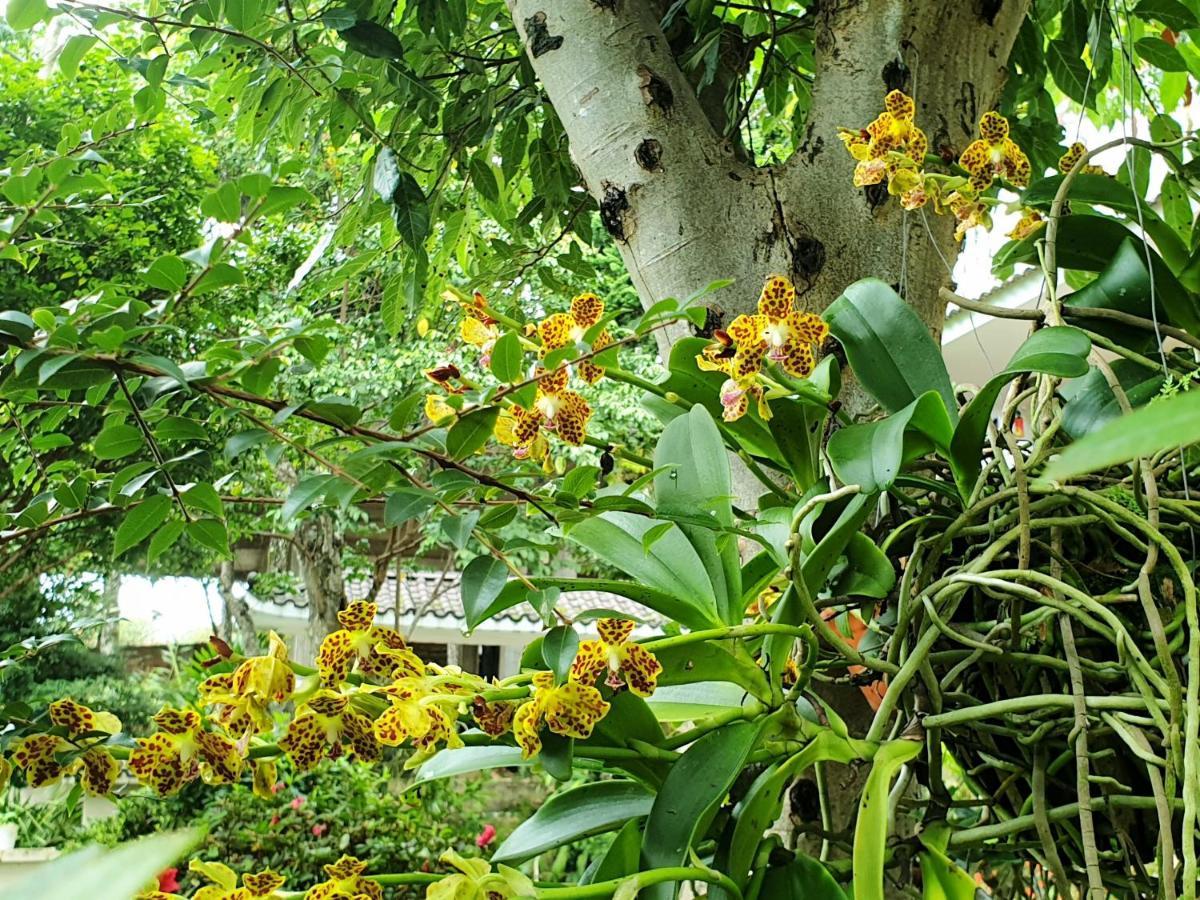 Villa Dieu Thong - Secrect Garden, View San May Va Nui Dalat Dış mekan fotoğraf